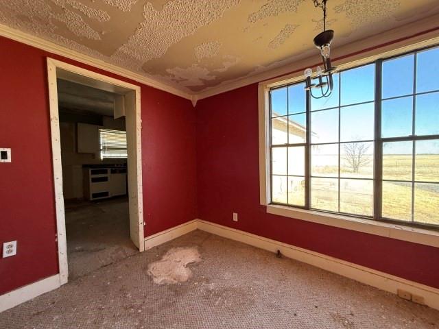 1112 County Road Y Property Photo 19