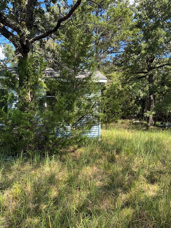 10236 County Road 2326 Tract 1 Property Photo 6