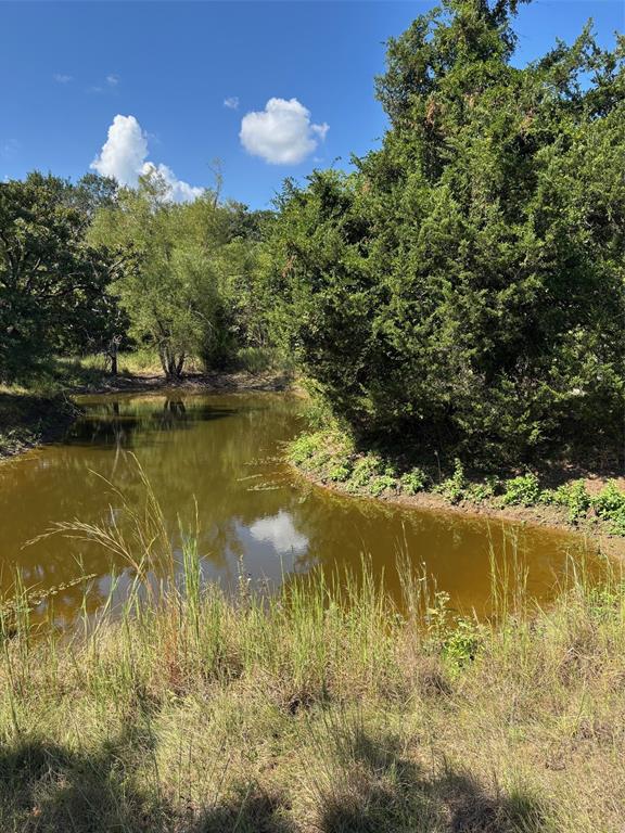 10236 County Road 2326 Tract 1 Property Photo 17