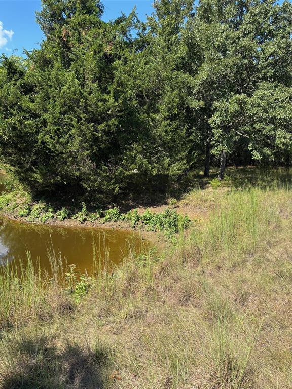 10236 County Road 2326 Tract 1 Property Photo 18