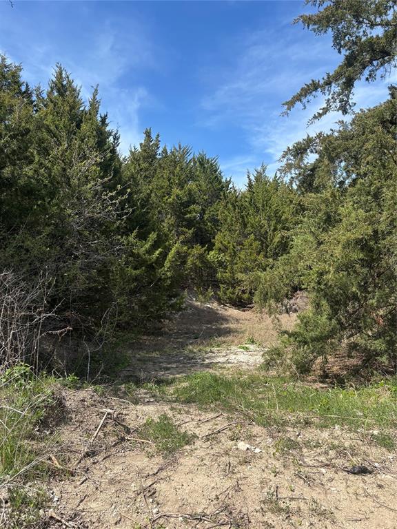 Tbd Fm 66 Property Photo 1