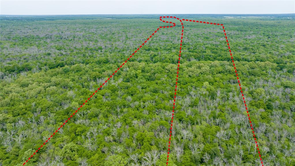 Tbd Cr 4630 Property Photo 5