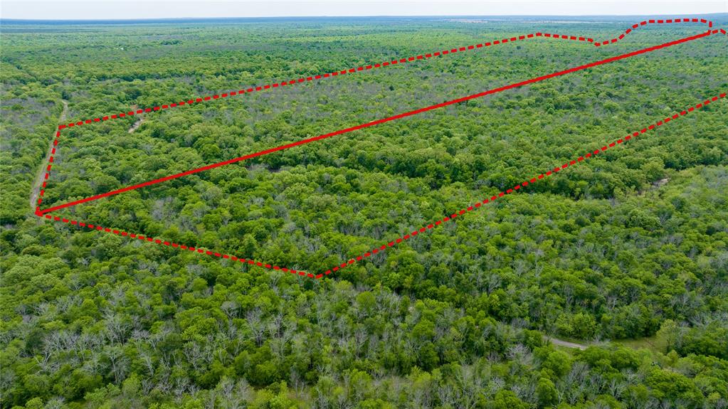 Tbd Cr 4630 Property Photo 6