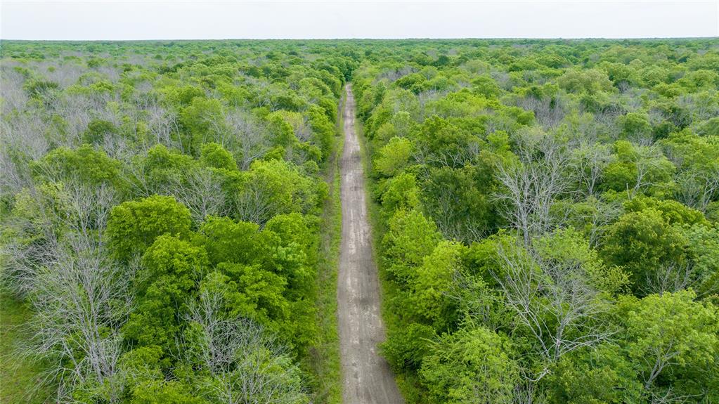 Tbd Cr 4630 Property Photo 9