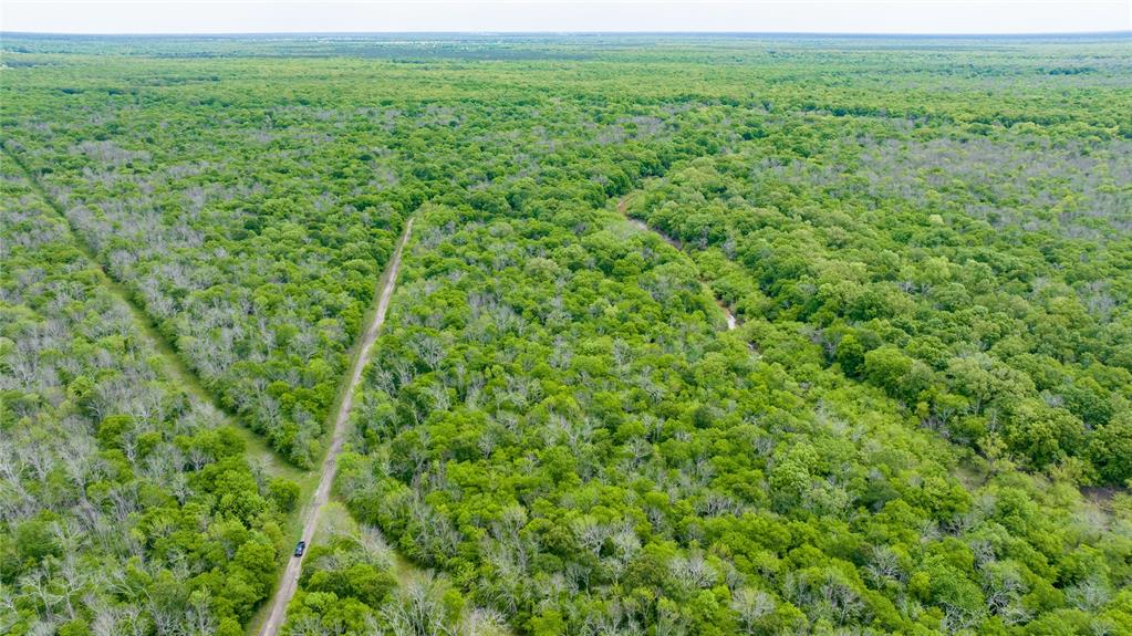 Tbd Cr 4630 Property Photo 10