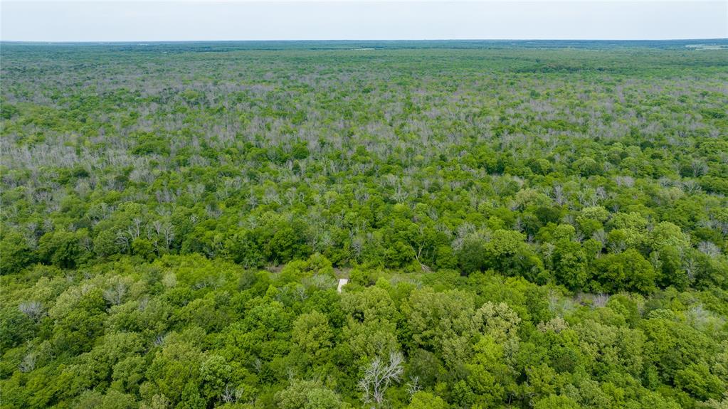 Tbd Cr 4630 Property Photo 18