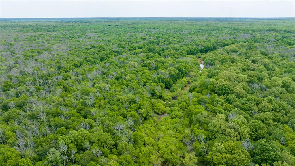 Tbd Cr 4630 Property Photo 19