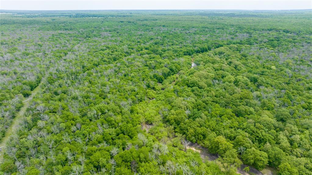 Tbd Cr 4630 Property Photo 20