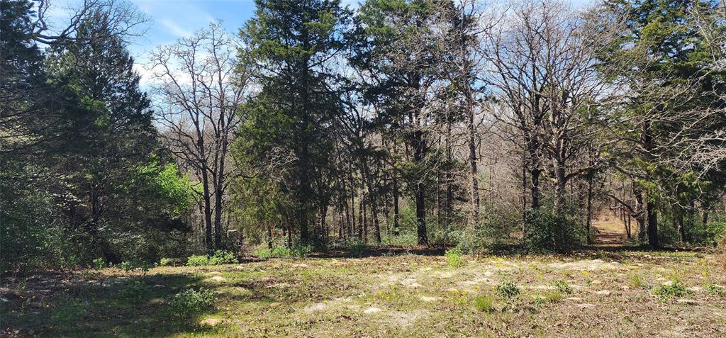 14612 County Road 1114 Property Photo 1