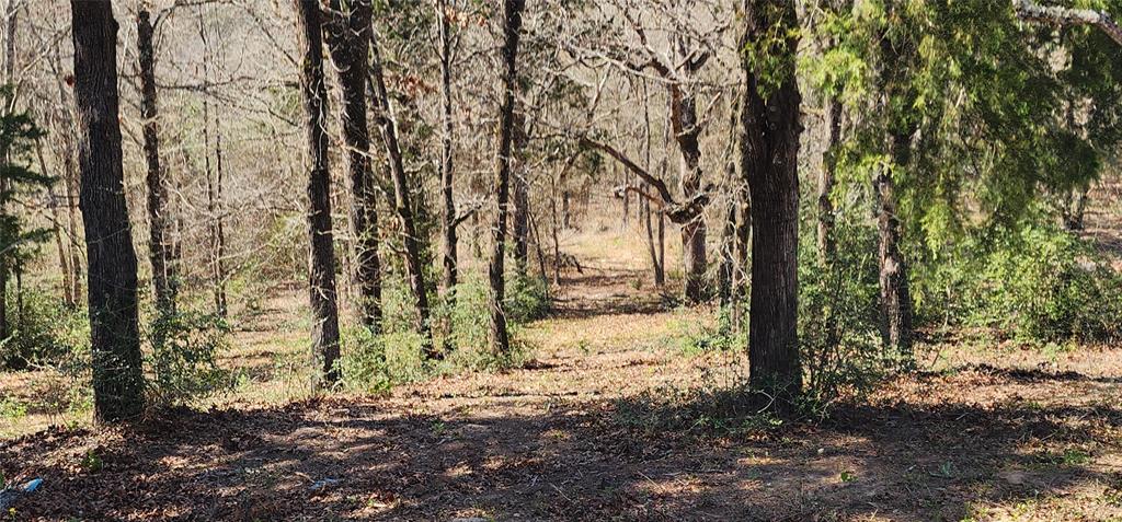 14612 County Road 1114 Property Photo 4