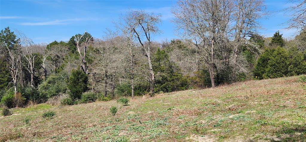 14612 County Road 1114 Property Photo 7