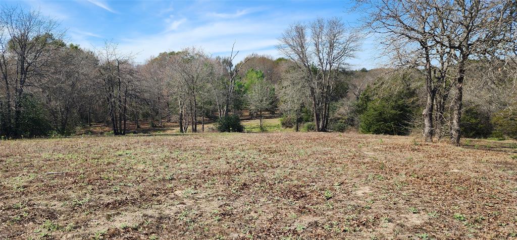 14612 County Road 1114 Property Photo 9