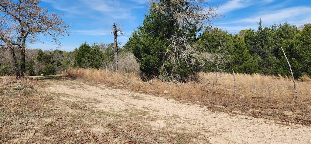 14612 County Road 1114 Property Photo 10
