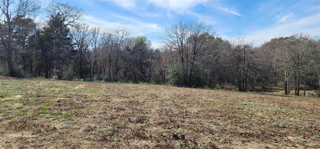 14612 County Road 1114 Property Photo 11
