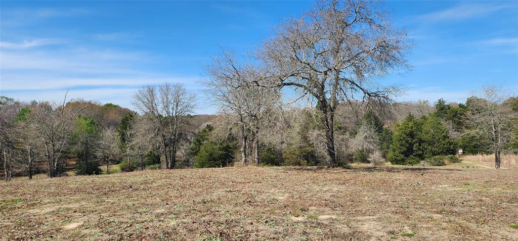 14612 County Road 1114 Property Photo 12