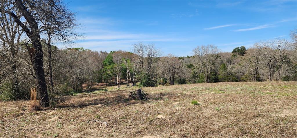 14612 County Road 1114 Property Photo 16