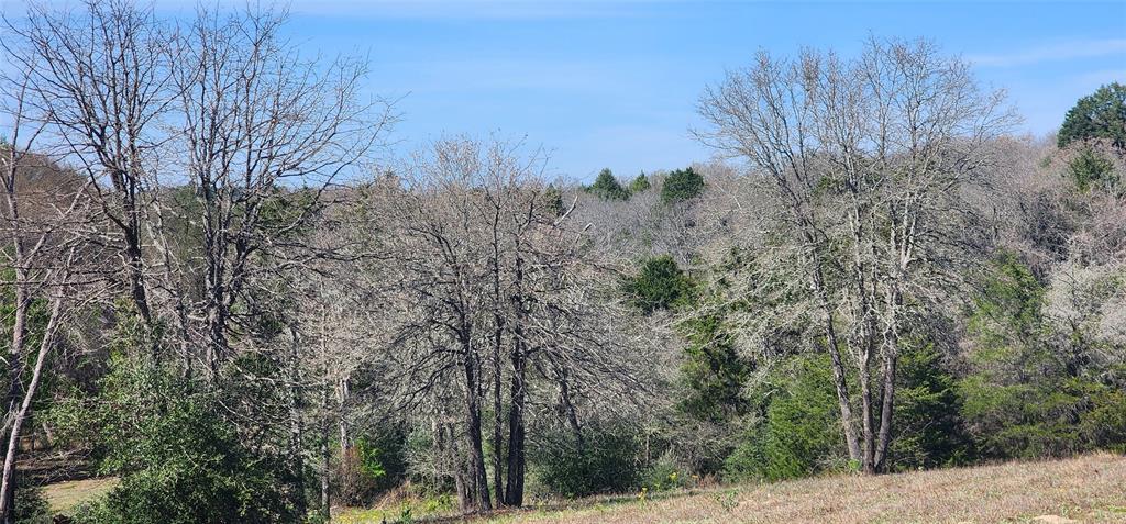 14612 County Road 1114 Property Photo 17