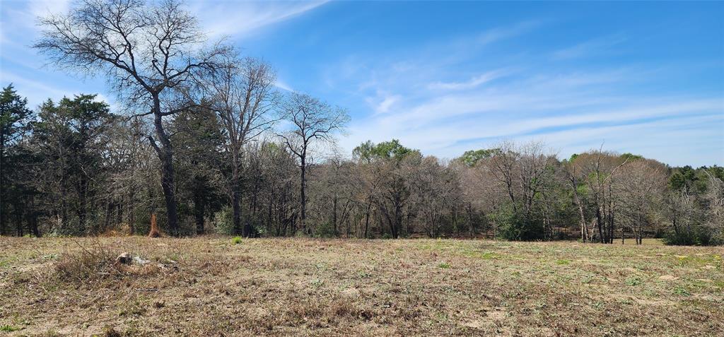14612 County Road 1114 Property Photo 19