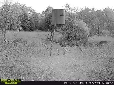 14612 County Road 1114 Property Photo 31