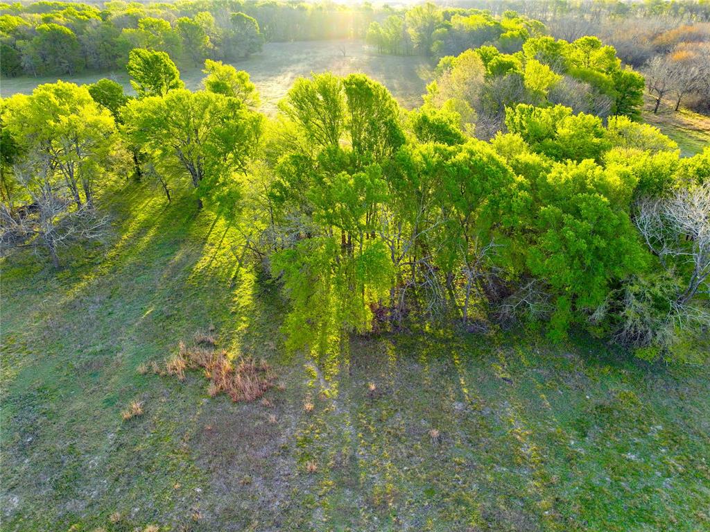 None Tbd C.r. 386 Property Photo 7