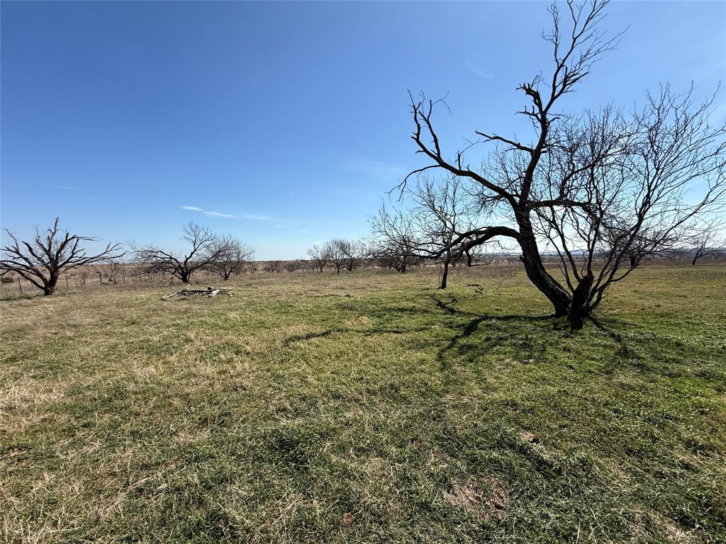 Tbd3 Cr 619 Property Photo 11