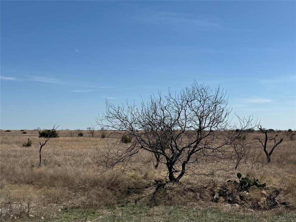 Tbd3 Cr 619 Property Photo 18