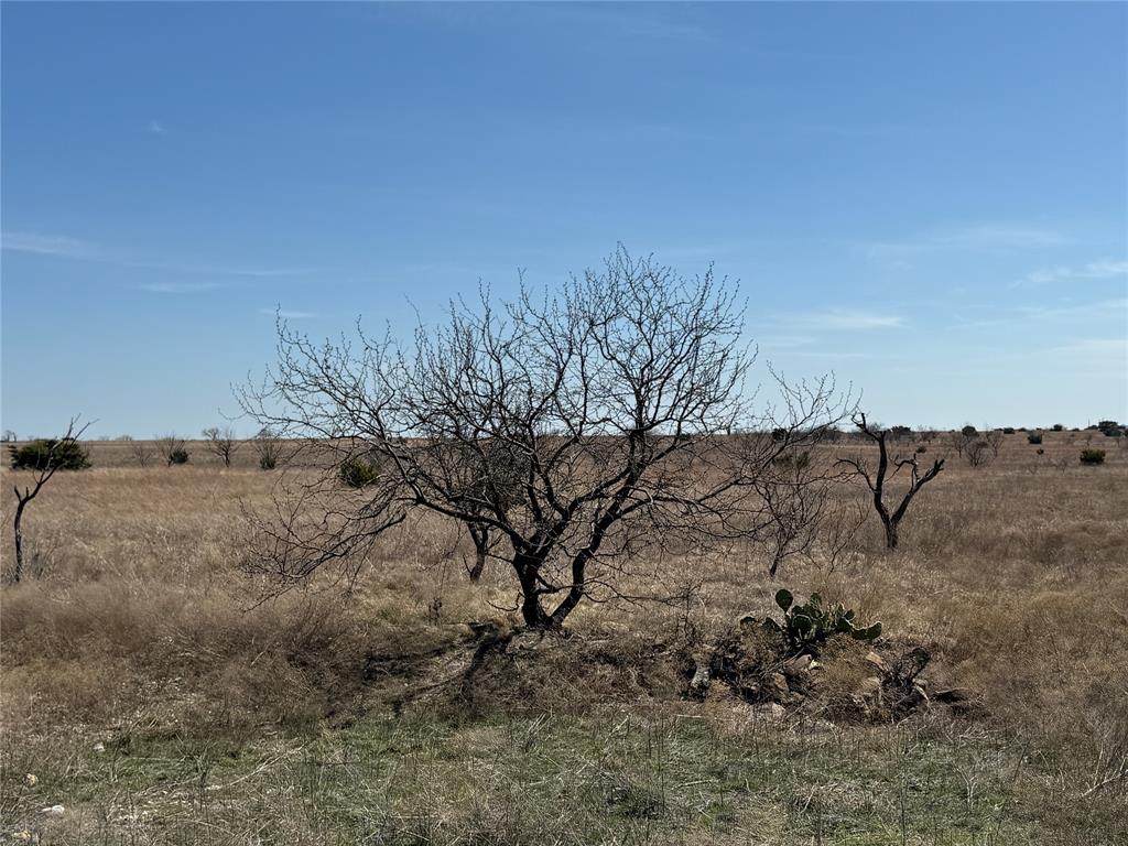 Tbd3 Cr 619 Property Photo 21