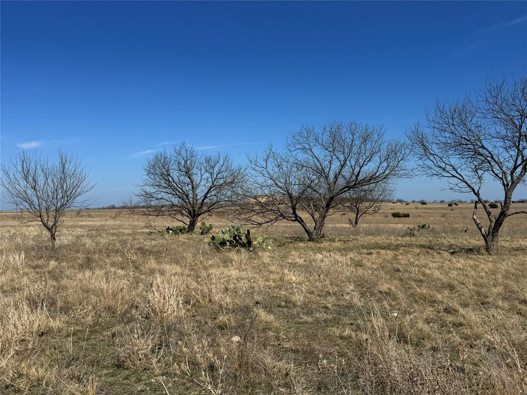 Tbd4 Cr 620 Property Photo 2