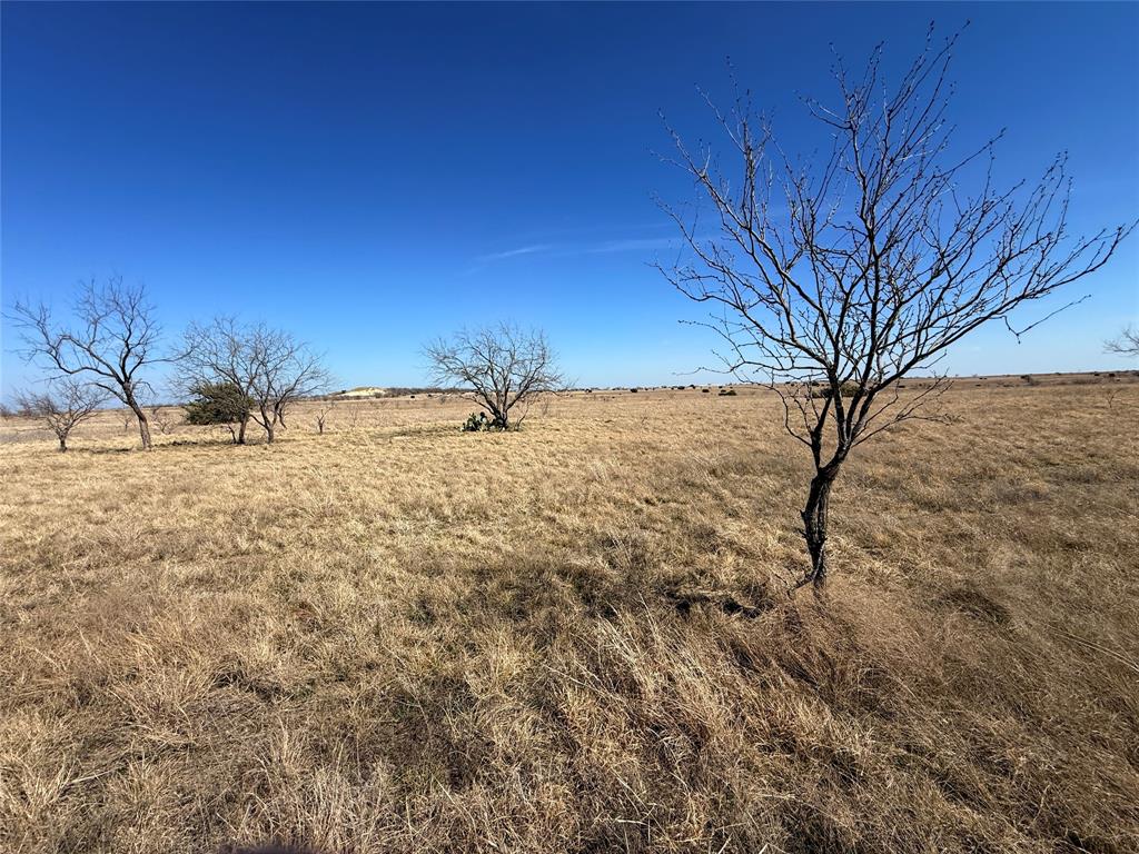 Tbd4 Cr 620 Property Photo 10
