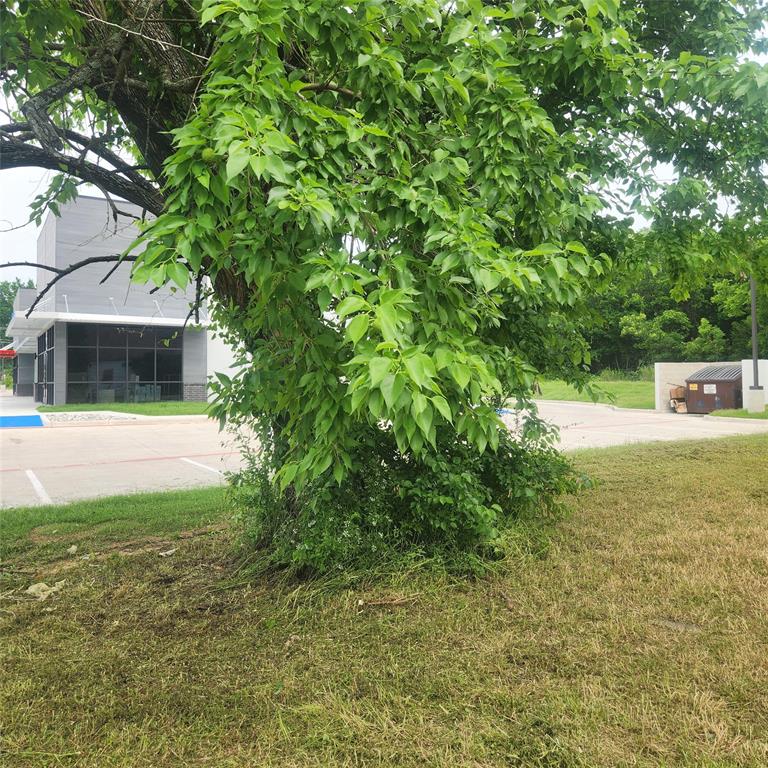 520 Locust Street Property Photo 6