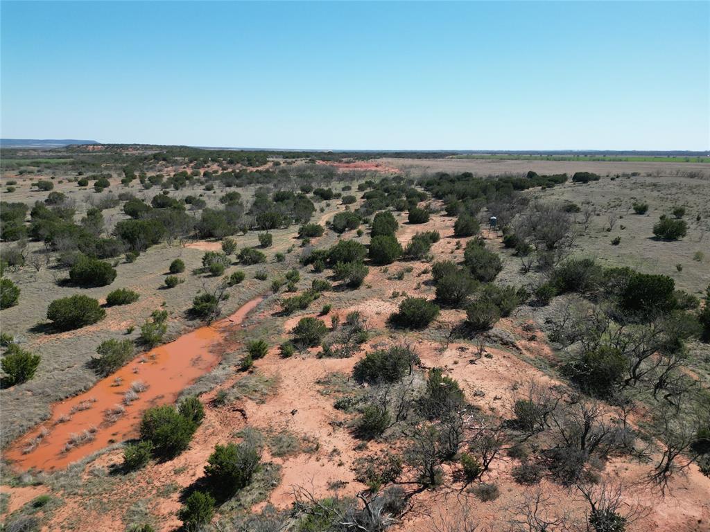 Tbd County Rd 206 Property Photo 4