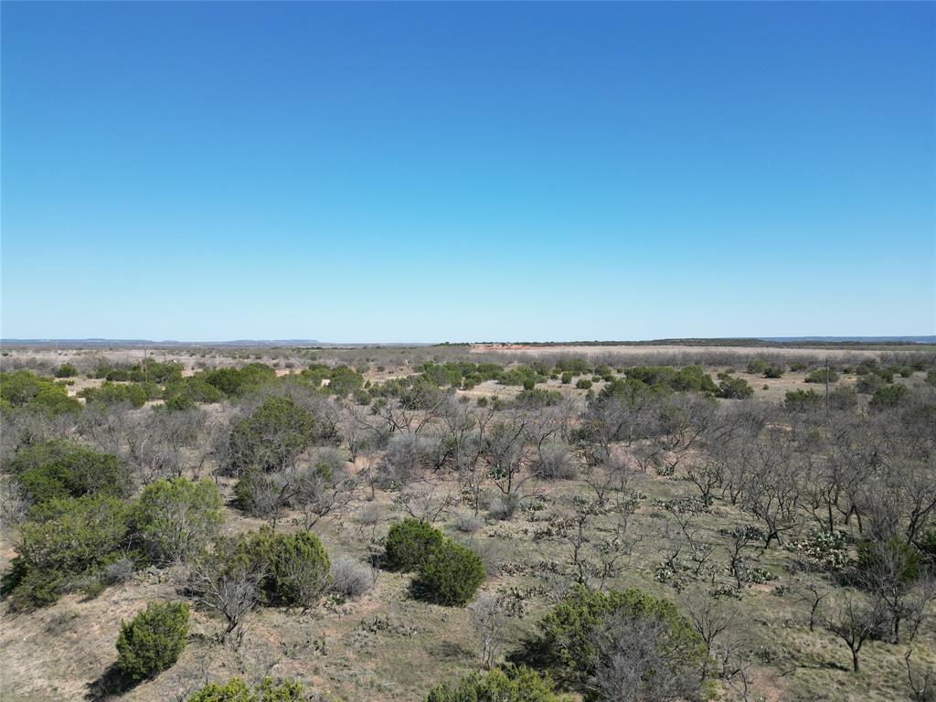 Tbd County Rd 206 Property Photo 6