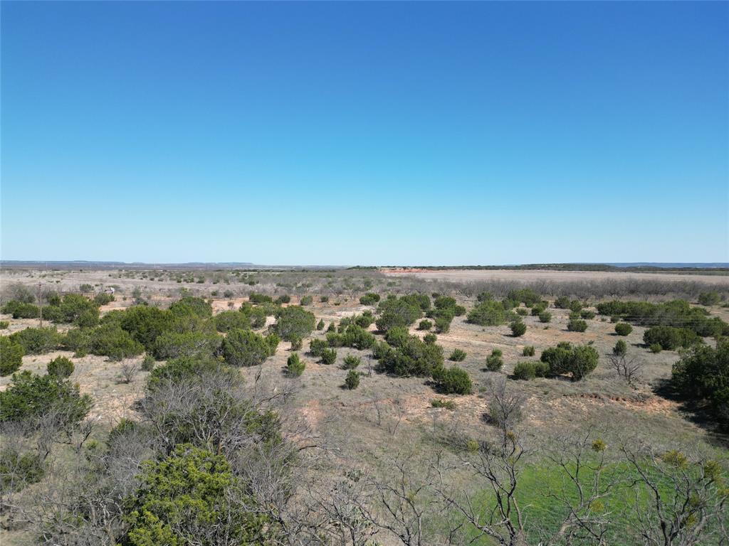 Tbd County Rd 206 Property Photo 7