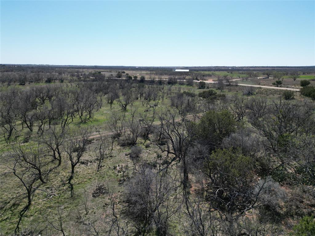 Tbd County Rd 206 Property Photo 9