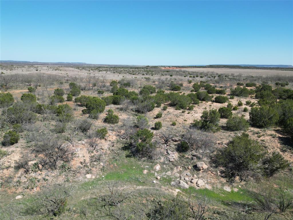 Tbd County Rd 206 Property Photo 11