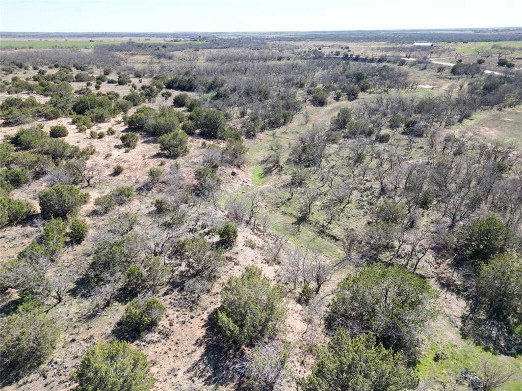 Tbd County Rd 206 Property Photo 22