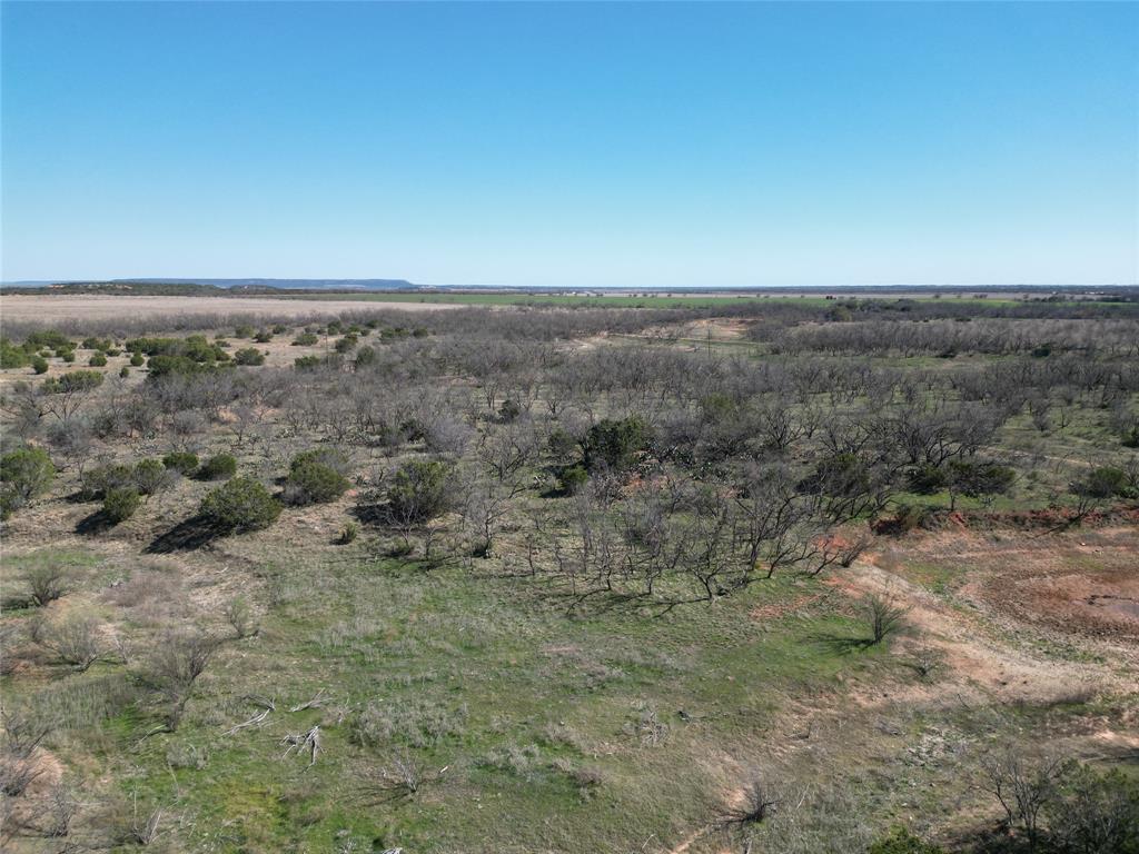 Tbd County Rd 206 Property Photo 23