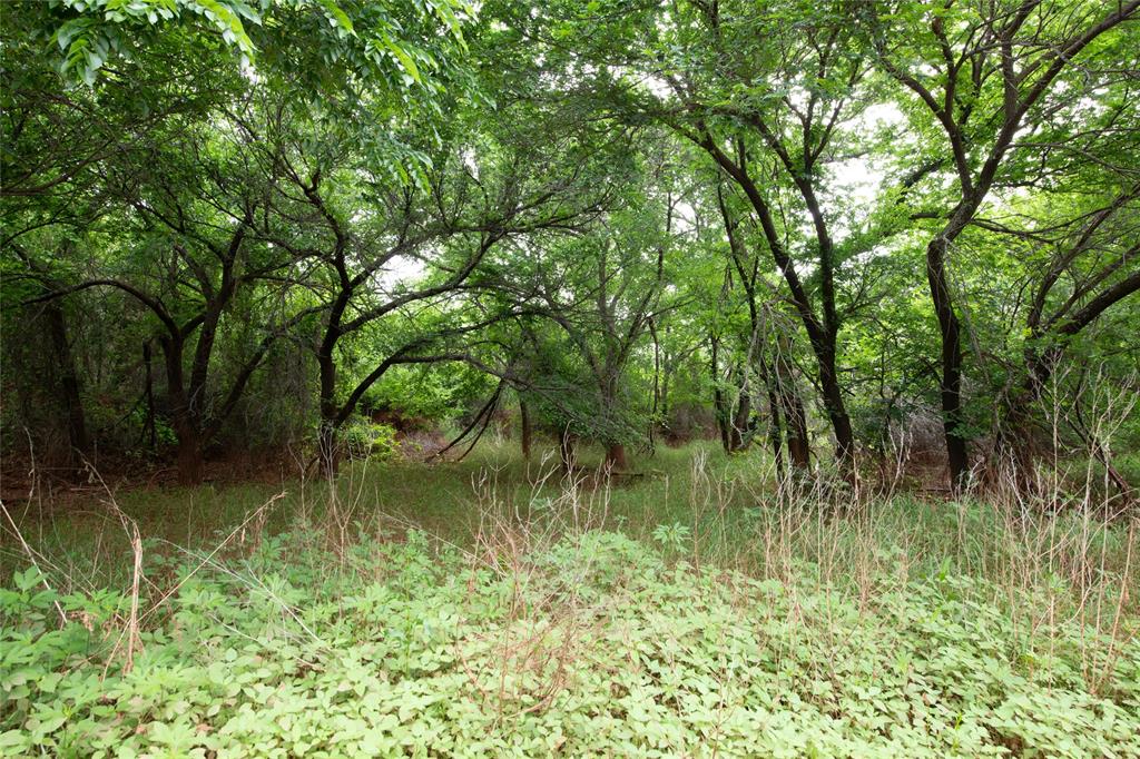117 Buchanan Rd (cr 661) Property Photo 34