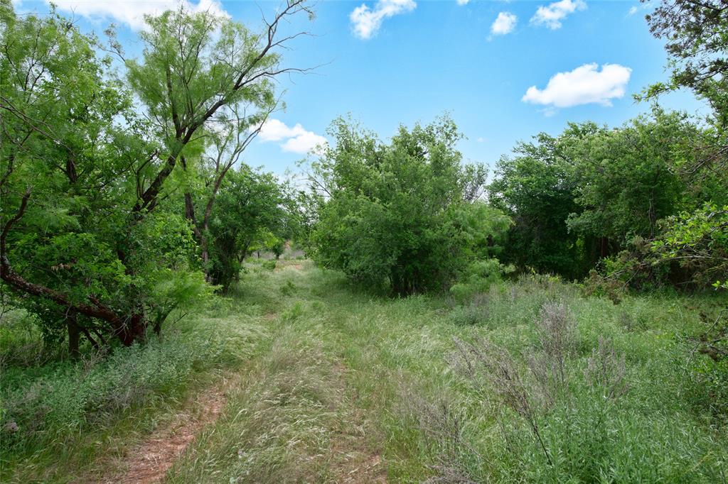 117 Buchanan Rd (cr 661) Property Photo 35