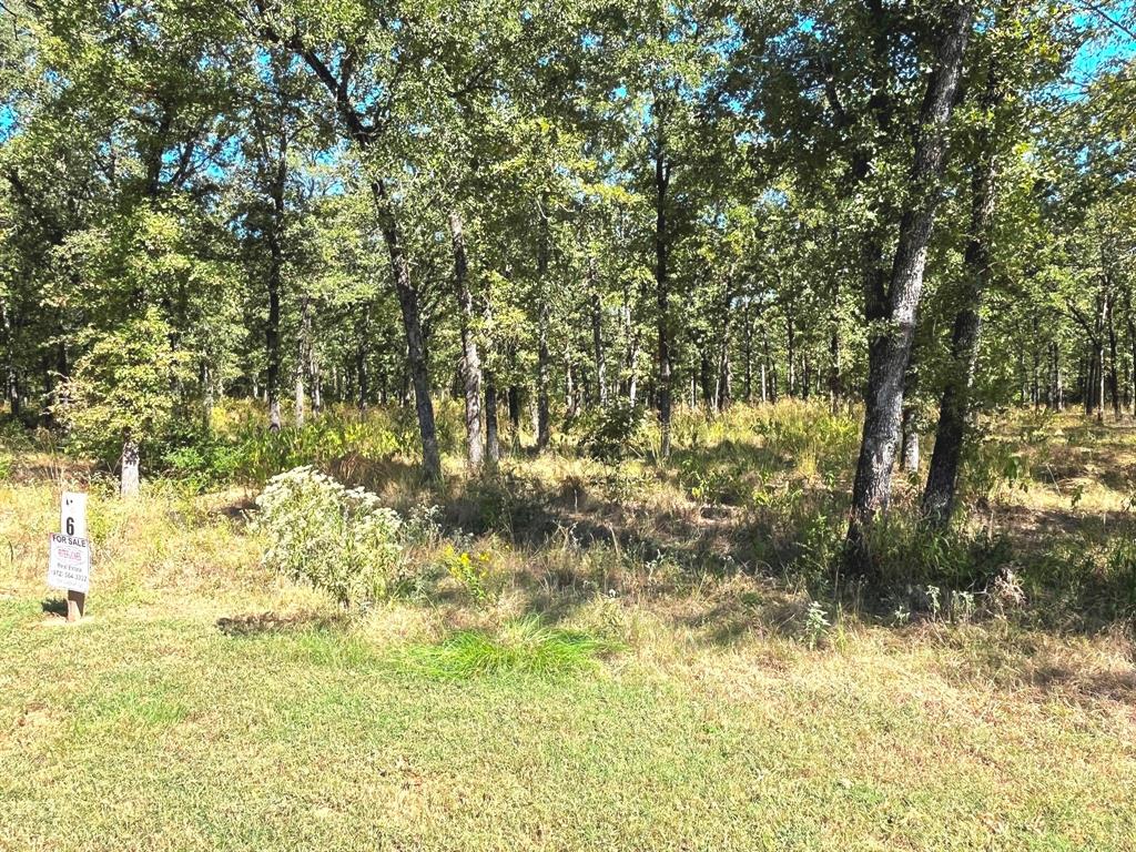 6924 Lakeshore Way Property Photo 13