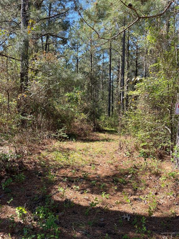 0 Providence Private Lane Property Photo 5