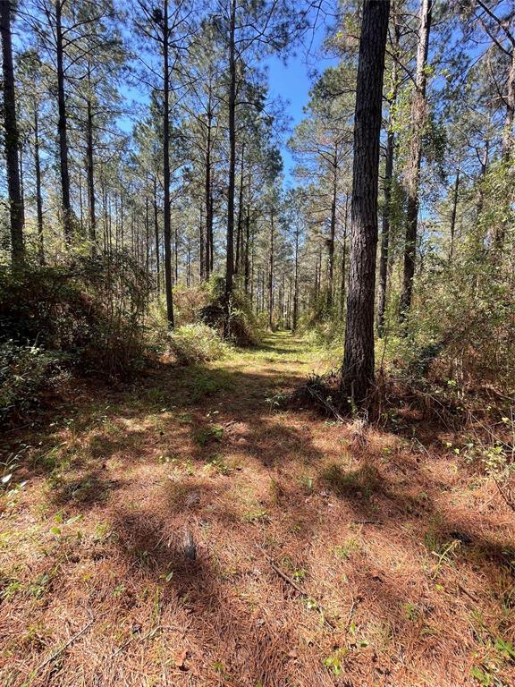 0 Providence Private Lane Property Photo 7