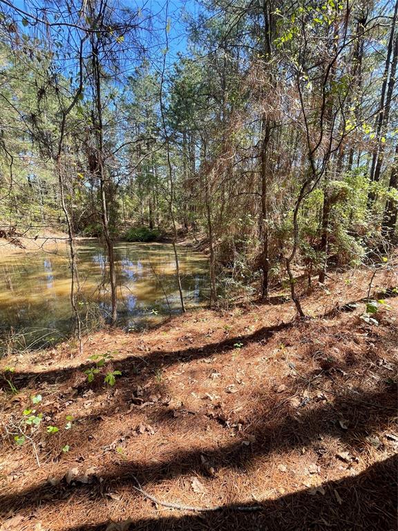 0 Providence Private Lane Property Photo 8