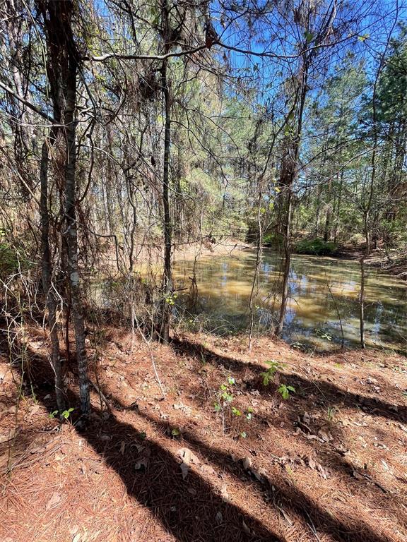 0 Providence Private Lane Property Photo 10