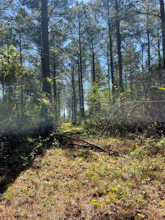 0 Providence Private Lane Property Photo 14