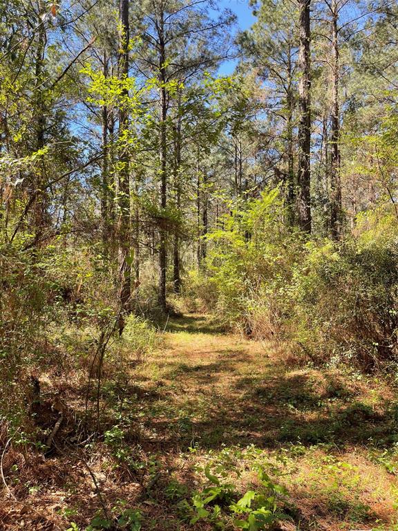0 Providence Private Lane Property Photo 15
