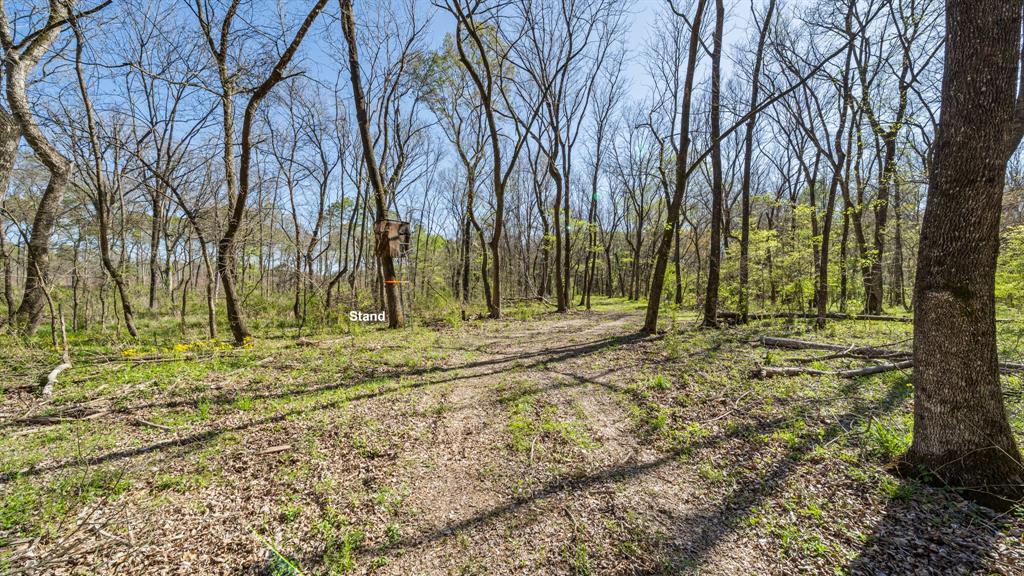 Tbd County Road 462 Property Photo 2
