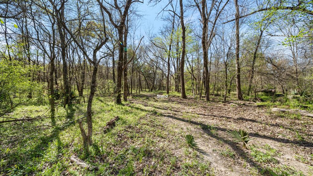 Tbd County Road 462 Property Photo 3