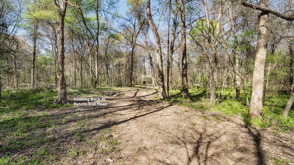 Tbd County Road 462 Property Photo 5