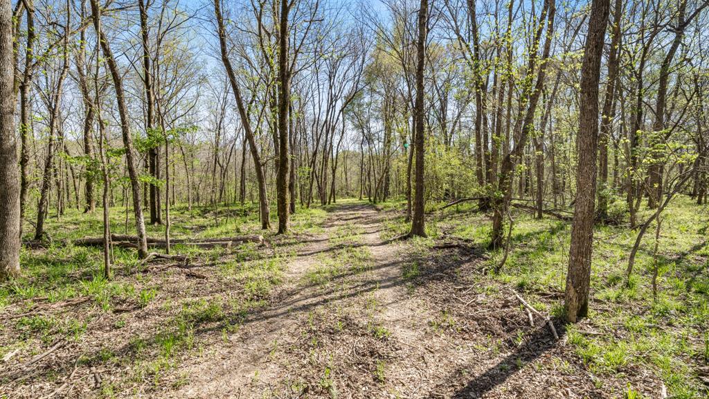 Tbd County Road 462 Property Photo 6